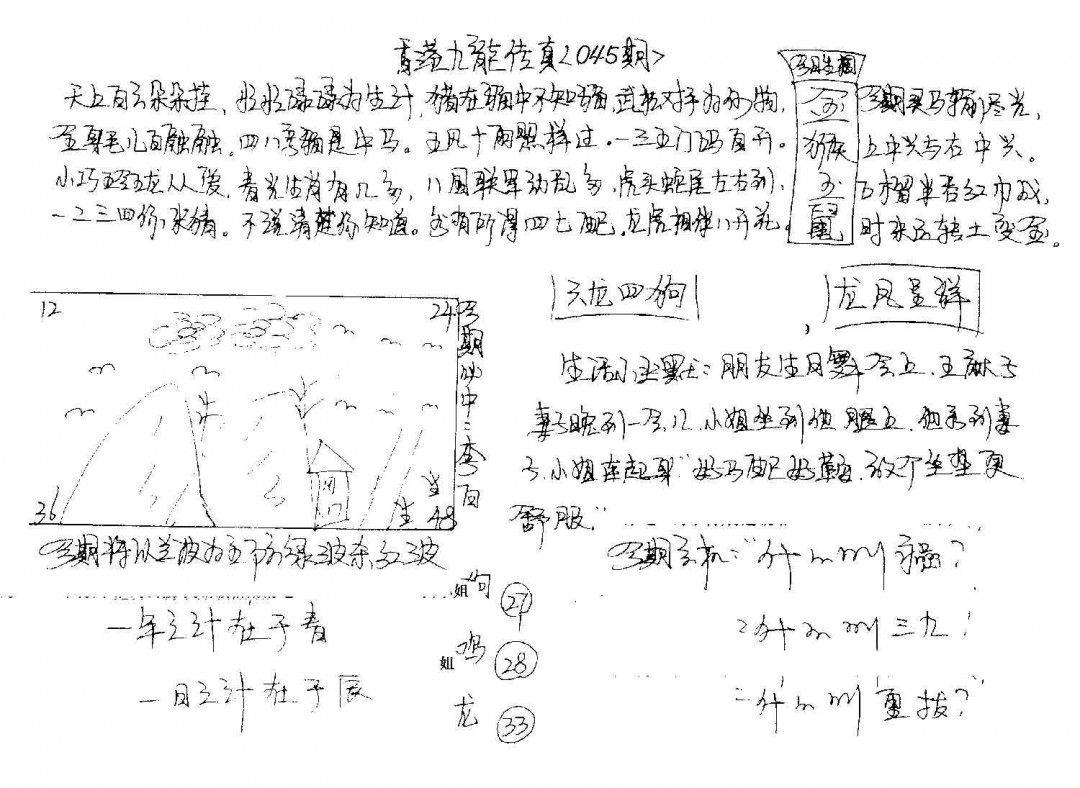 图片加载中