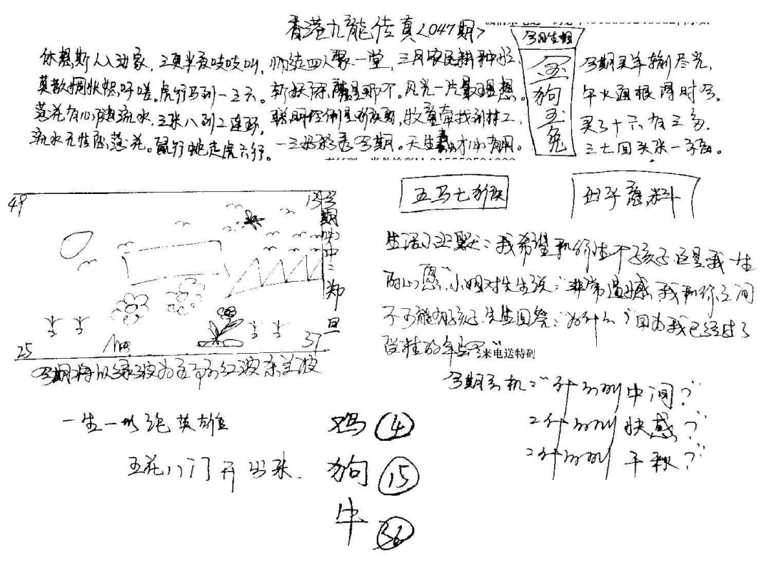 图片加载中