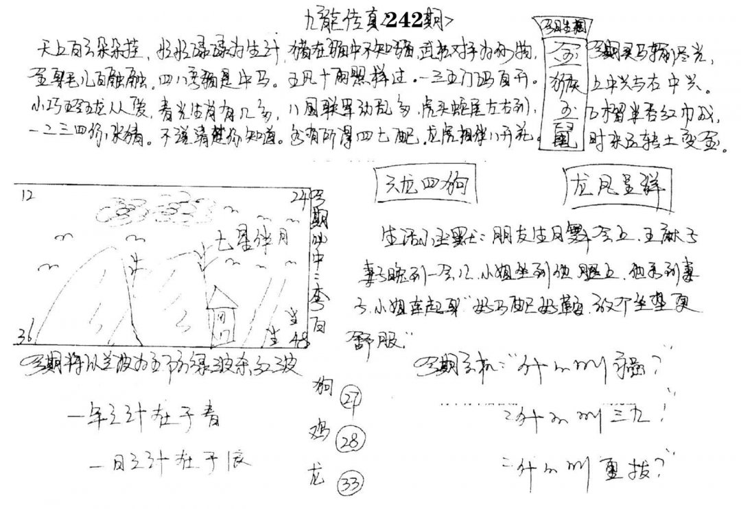 图片加载中