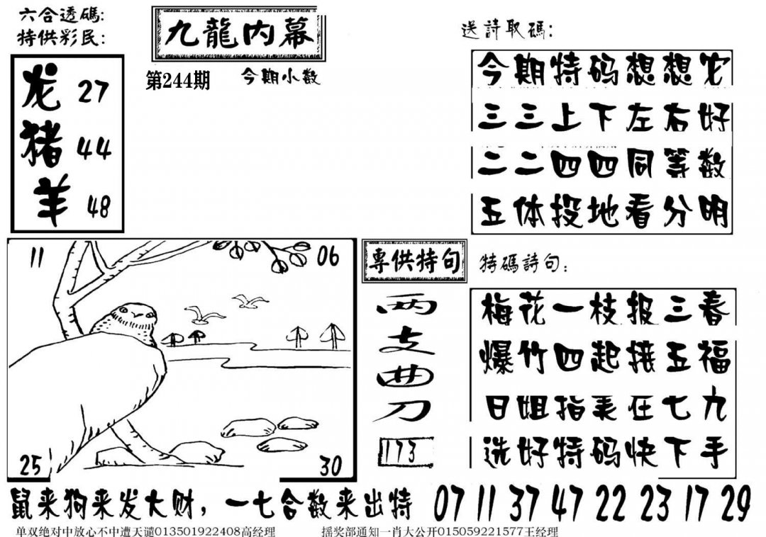 图片加载中